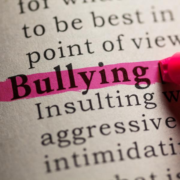 Image of the word bullying highlighted on a page